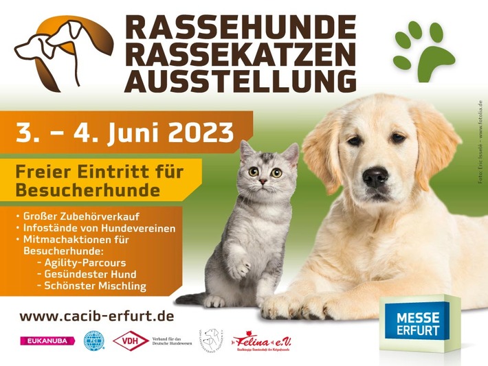 Tierisch was los zur Rassehunde- und Rassekatzen-Ausstellung am 3. und 4. Juni in der Messe Erfurt