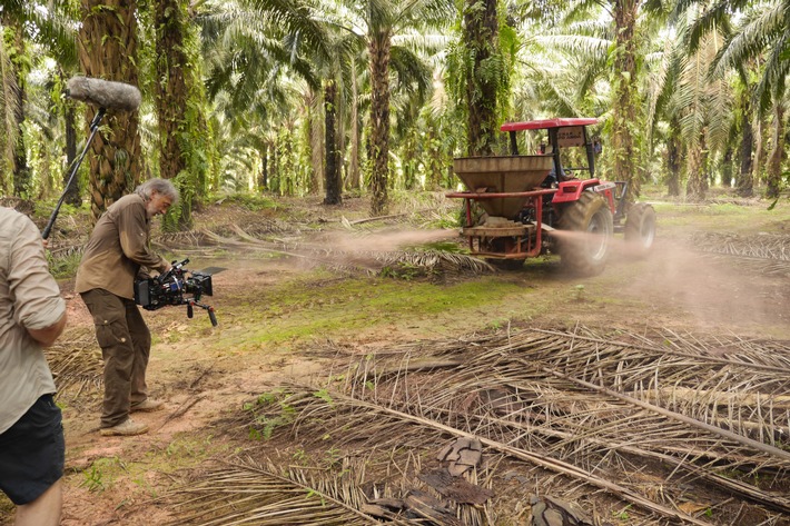 ZDF-&quot;planet e.&quot;-Doku von Kino-Regisseur Kurt Langbein über den Palmöl-Boom als Öko-Problem
