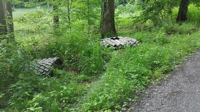 POL-MA: Sinsheim: Illegale Müllentsorgung im Wald - wer hat etwas beobachtet?