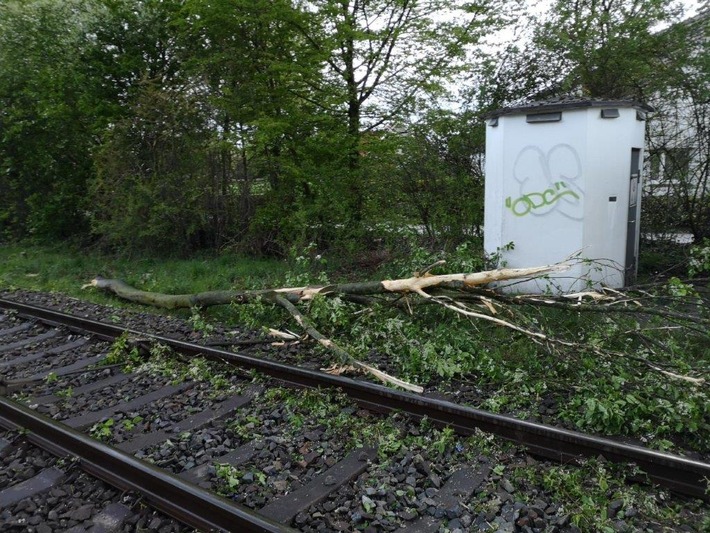 BPOL-BadBentheim: Zug kollidiert mit einem umgestürzten Baum im Bahngleis