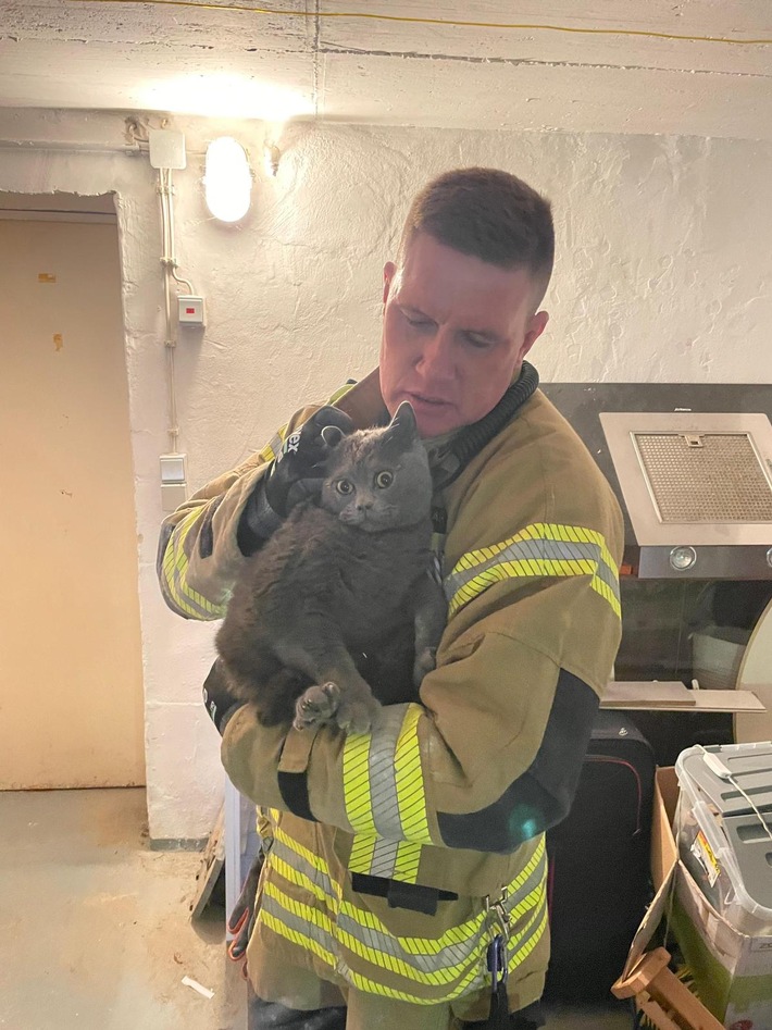 FW-DT: Katze aus Mauerwerk befreit