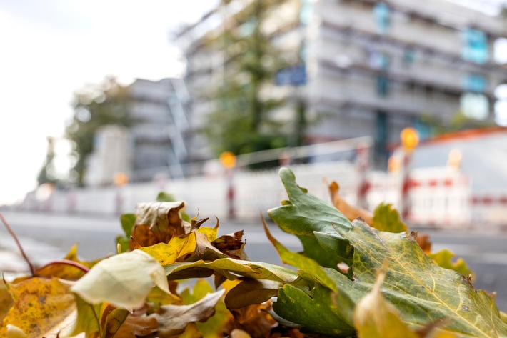 Sicher arbeiten bei Herbstwetter: BG BAU gibt Tipps