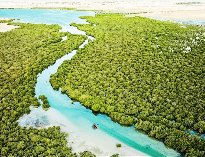 Internationaler Tag zum Schutz des Mangroven-Ökosystems der UNESCO / Ein überraschend grünes Abenteuer in Katar: Warum der Wunderbaum so wichtig ist