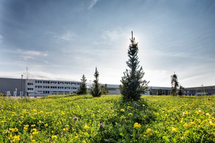 Internationaler Tag der biologischen Vielfalt: ŠKODA AUTO präsentiert ausgewählte Projekte zum Erhalt der Biodiversität