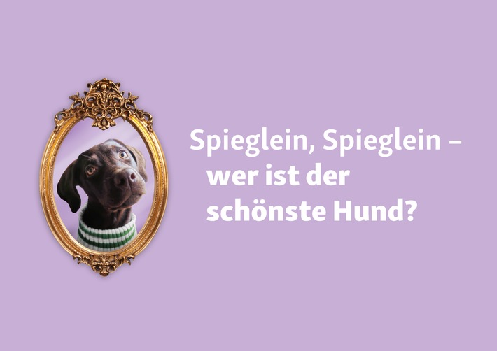 Welthundetag: Fressnapf sucht den schönsten Hund Deutschlands 2024