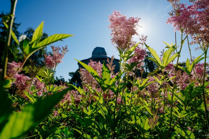 Korrektur: Macht das Beste aus euren Sommerferien! / Sommerrabattwochen für Familien im egapark mit 20 Prozent Preisvorteil vom 21. bis 27.07.2025