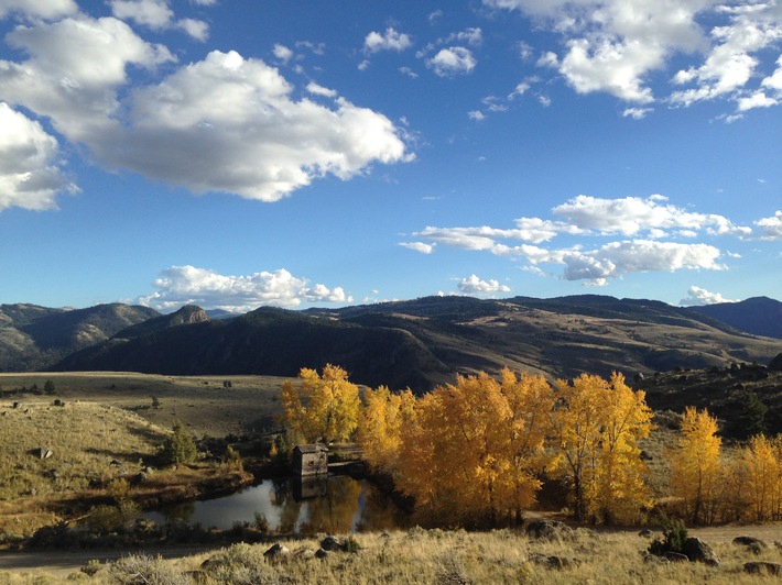 Leben "Im Zauber der Wildnis - Yellowstone" / ZDF-Dokumentation über den ältesten Nationalpark der Welt (FOTO)