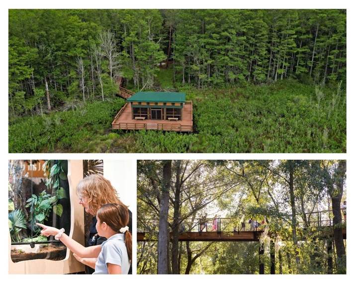 Lernen, Staunen, Erleben: Florida begeistert Familien mit inspirierenden Edutainment-Erlebnissen