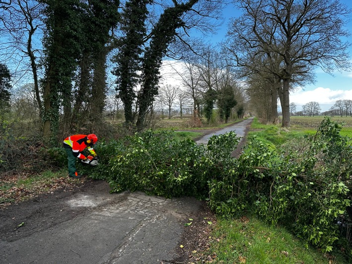 FW-Schermbeck: Baum blockiert Fahrbahn