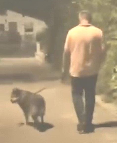 LPI-EF: Öffentlichkeitsfahndung nach Exhibitionist