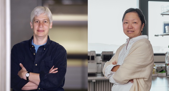 DFG bewilligt zwei neue Konstanzer Sonderforschungsbereiche, PI Nr. 113/2025