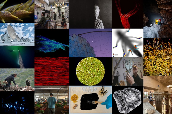 Zehn Jahre voller spektakulärer wissenschaftlicher Bilder