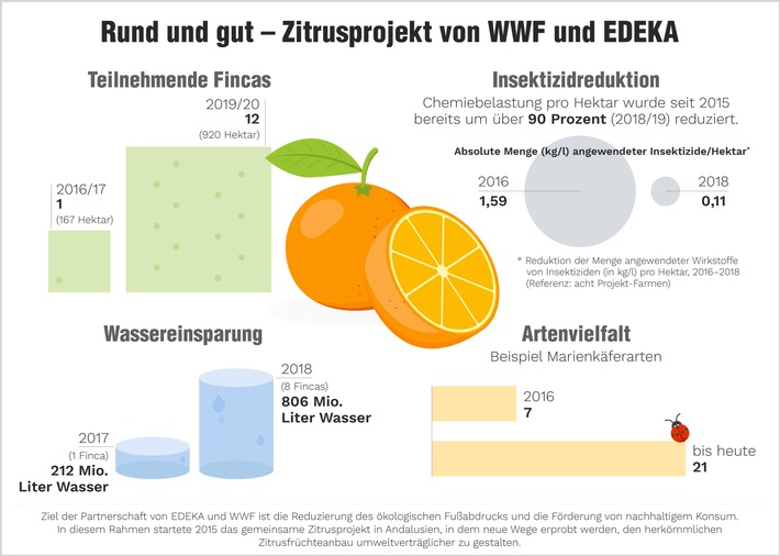 Orangen aus dem Zitrusprojekt von WWF und EDEKA: EDEKA-Orange punktet in Sachen Umweltfreundlichkeit