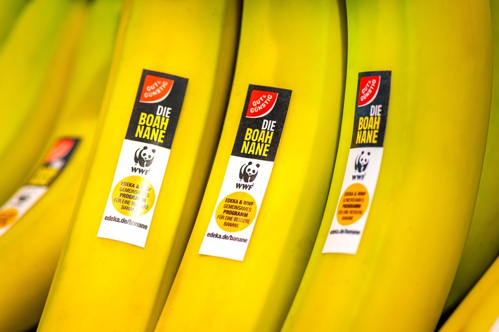 EDEKA und WWF erweitern Bananenprogramm für mehr Nachhaltigkeit: Die BOAHNANE revolutioniert den Markt