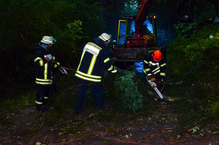 KFV-CW: Kleiner Tornado zog durch Calwer Stadtgarten. Unwetter über Neuweiler, Bad Teinach-Zavelstein und Calw.