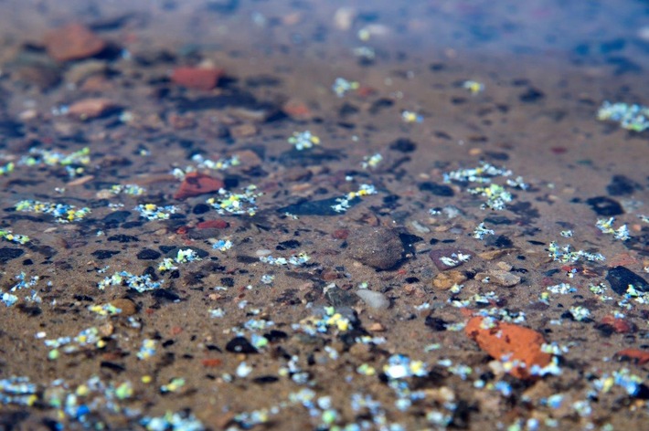 BAM research project aims to more accurately detect microplastics in the water