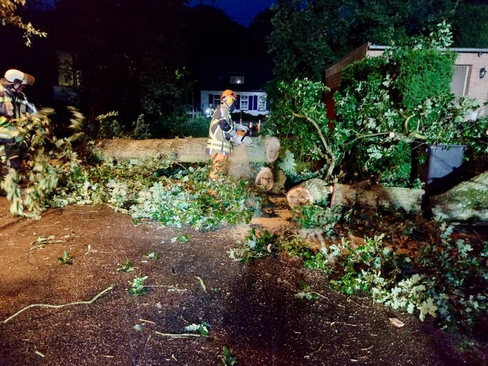 FW Hünxe: Baum stürzt auf Hausdach