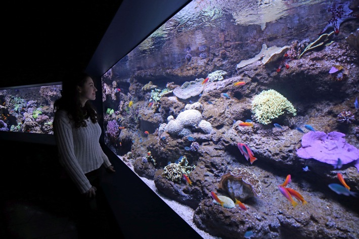 Historisches Aquarium im Zoo Leipzig nach Modernisierung wiedereröffnet