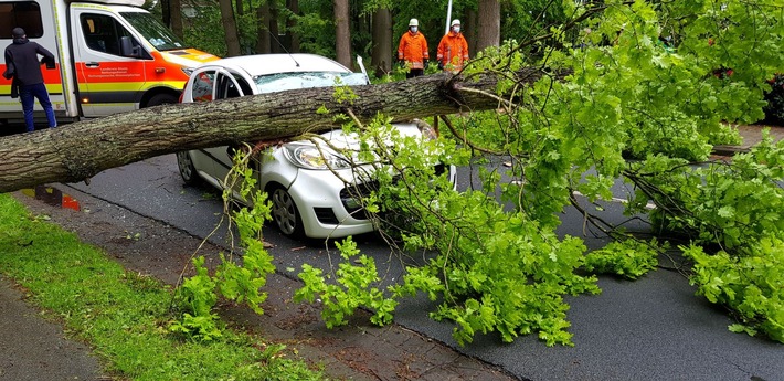 POL-STD: Baum stürzt während der Fahrt auf Auto - Fahrerin erleidet schwere Verletzungen
