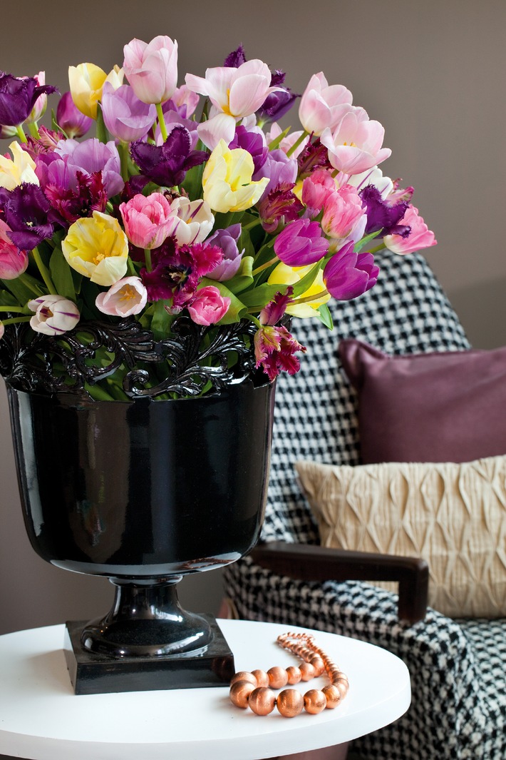 Blühender Frischekick: Knallige Tulpen sorgen für Frühlingsgefühle (mit Bild)
