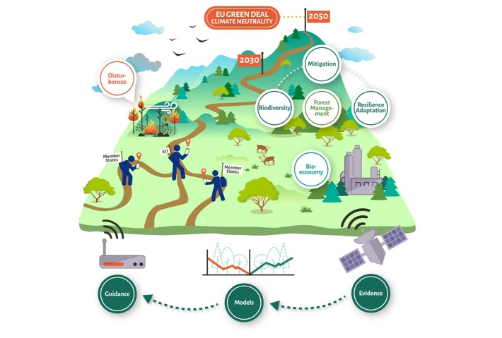 ForestNavigator - Designing policies addressing the forest sector for achieving EU climate goals