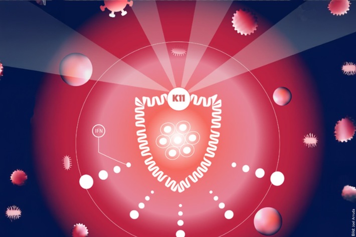 Ein neuer "molekularer Schalter" für angeborene Immunität identifiziert