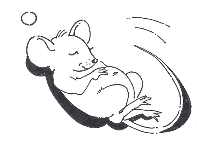 Mittagsführung & Kinderanlass im Naturmuseum Solothurn