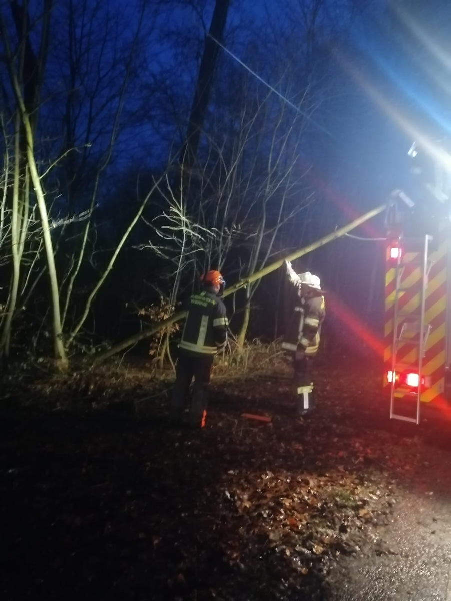 FW-WRN: Löschgruppe Langern entfernt umgestürzten Baum