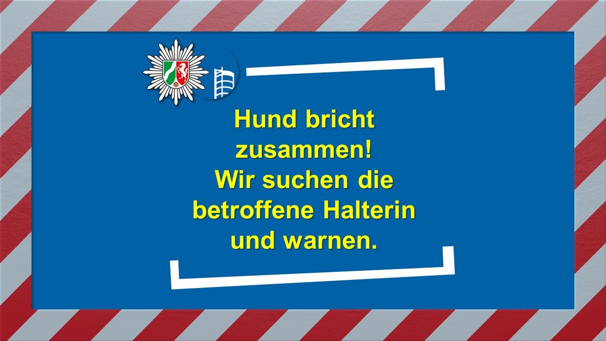 POL-OB: Hund bricht zusammen! Wir suchen die betroffene Halterin und warnen.