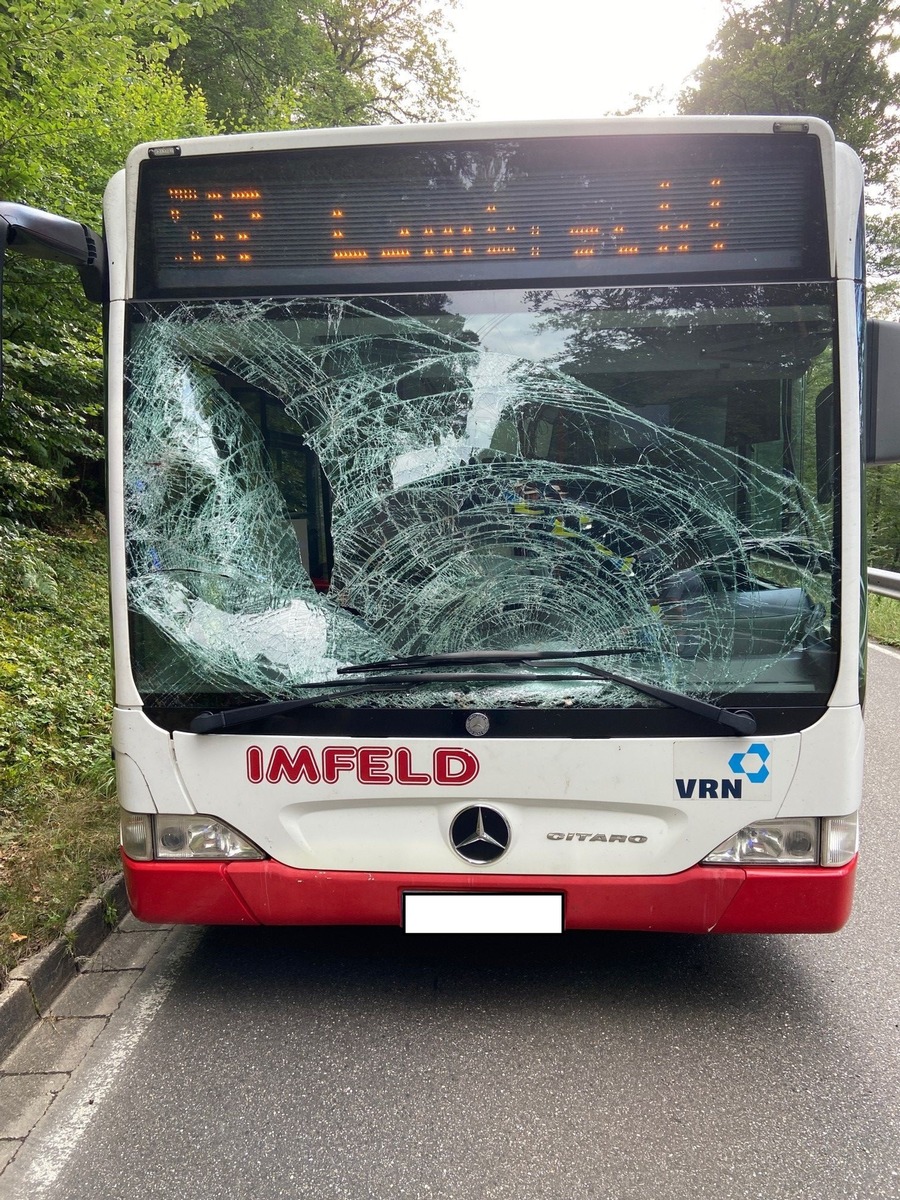 POL-PDNW: K19-Elmstein/Iggelbach: Rotwild fährt &quot;schwarz&quot;