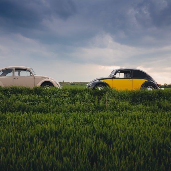 Der fachkundige Autohändler in der Nähe