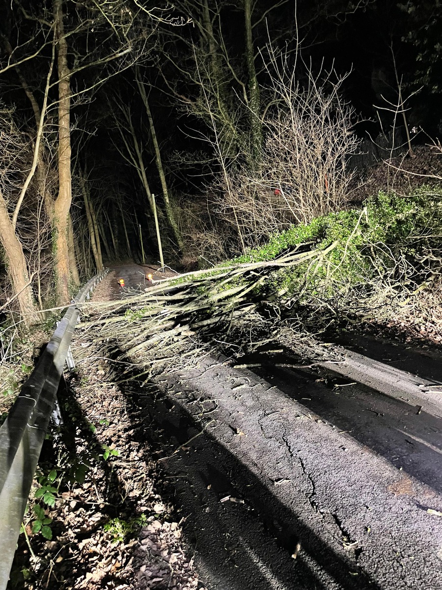 FW-Schermbeck: Baum auf Fahrbahn