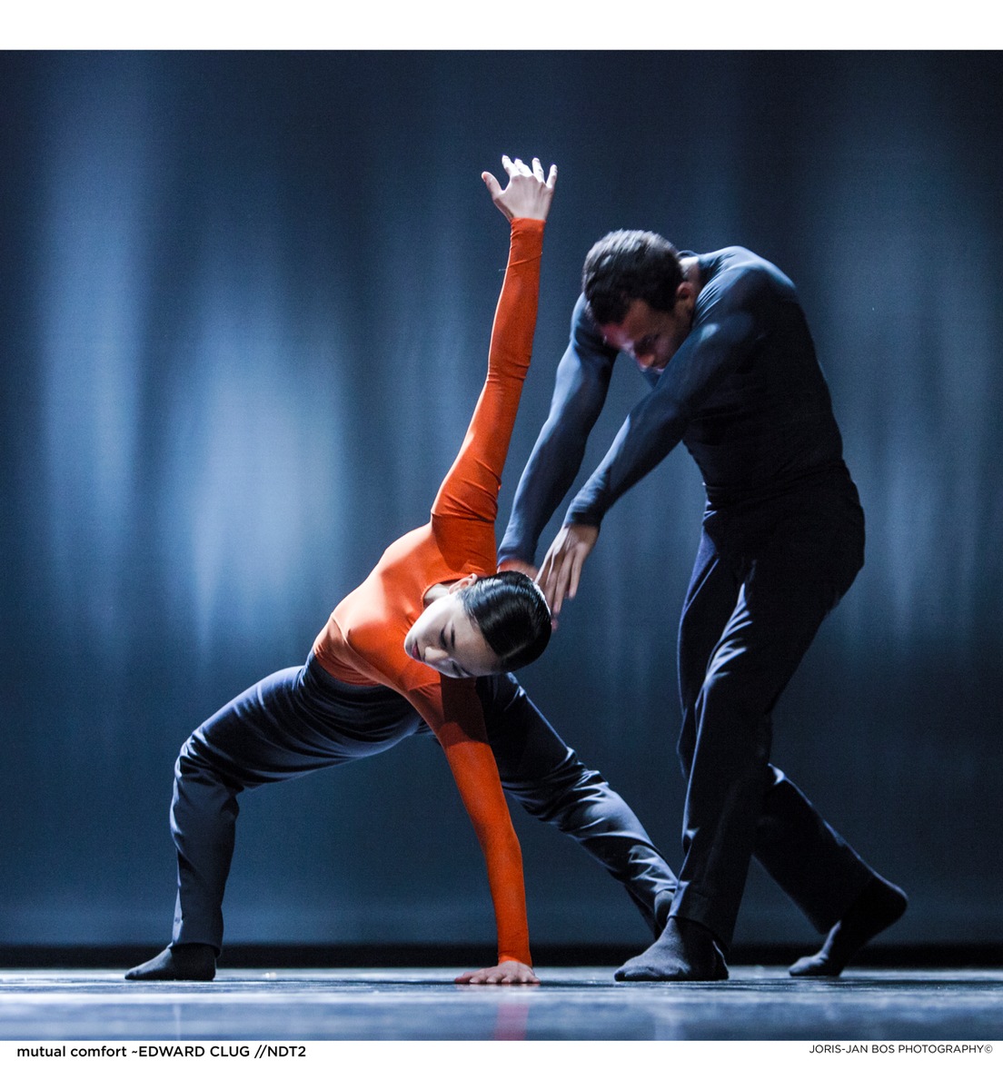 Steps, Festival de danse du Pour-cent culturel Migros, fête ses trente ans / De la danse pour tous: 1200 représentations en 30 ans