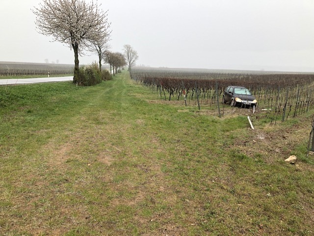 POL-PDWO: Flörsheim-Dalsheim - Auto landet im Weinberg