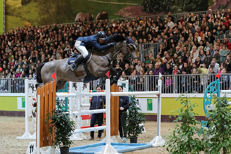 HIPPOLOGICA: Drei Tage Pferdesport pur auf der Grünen Woche