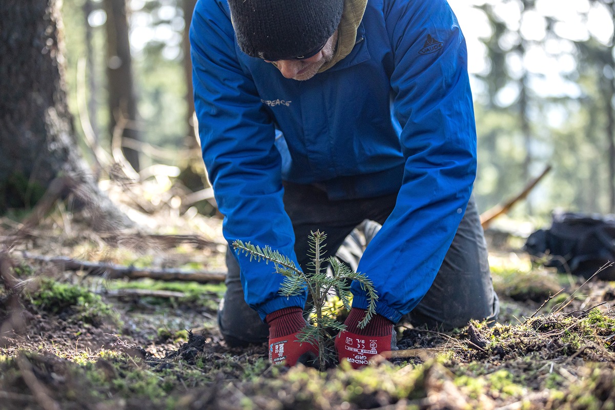 Bergwaldprojekt e.V. als herausragendes UN-Dekade-Projekt ausgezeichnet