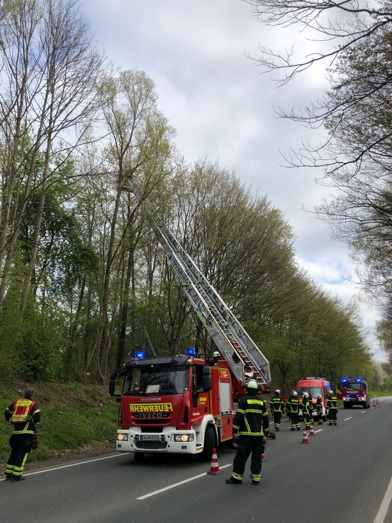 FW-EN: Feuerwehr rettete Katze - Brandmeldealarm am Sonntag - Insgesamt fünf Einsätze am Wochenende