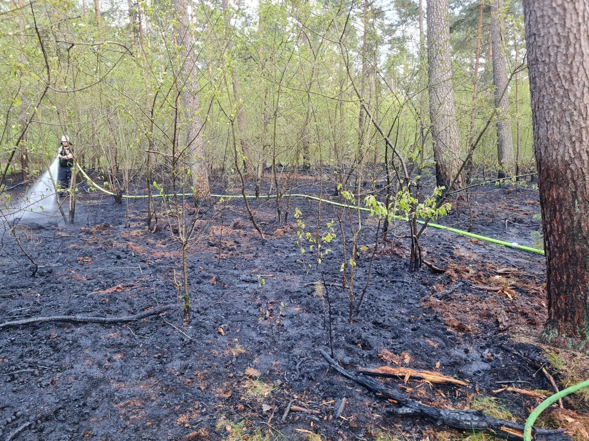 POL-HK: Lindwedel: Brand einer Grünfläche (Foto anbei)