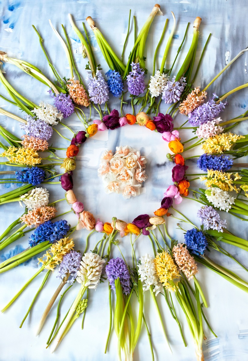 Narzissen, Hyazinthen und Ranunkeln begrüßen den Frühling / Frühlingsblumen verzaubern die Sinne