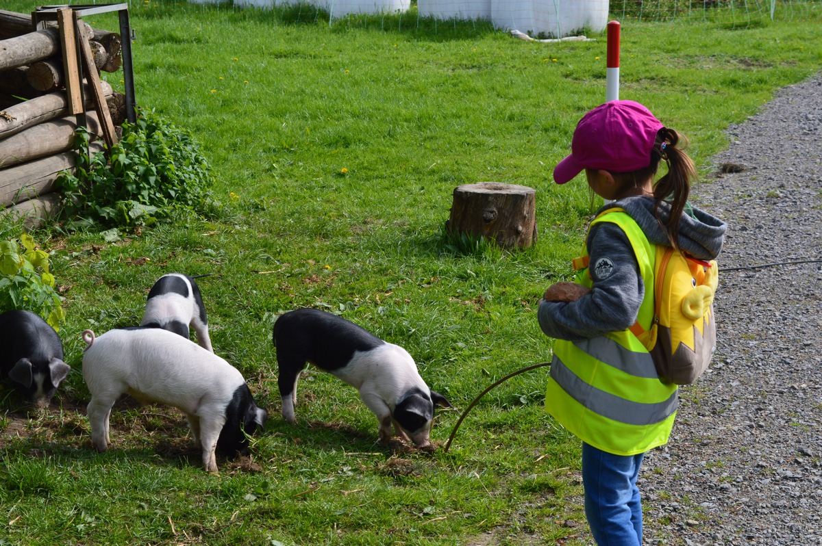 Aufwachsen mit tierischer Begleitung - Kinder profitieren von Tieren in der Kita