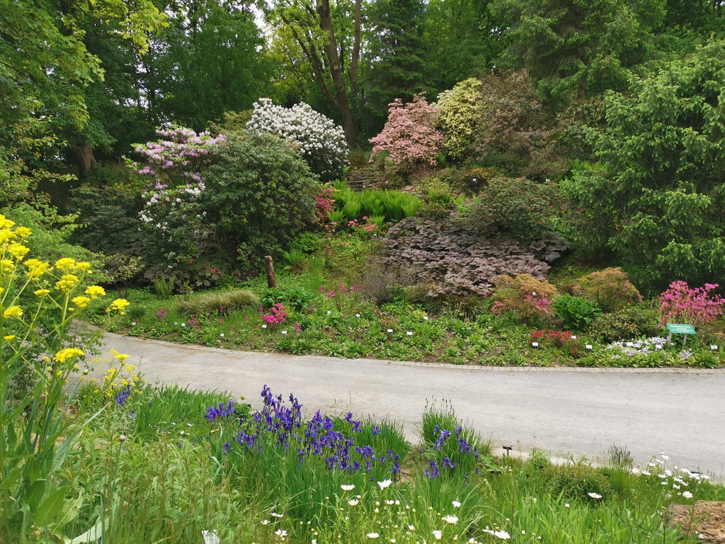 Freude über Wiedereröffnung -  Botanischer Garten der Universität Osnabrück öffnet ab Dienstag, 2. Juni für die Bürgerinnen und Bürger