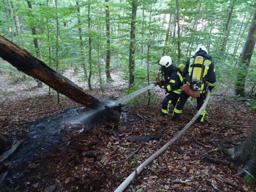 FW Reichenau: Waldbrand schnell gelöscht Reichenau-Waldsiedlung, 22.07.2022