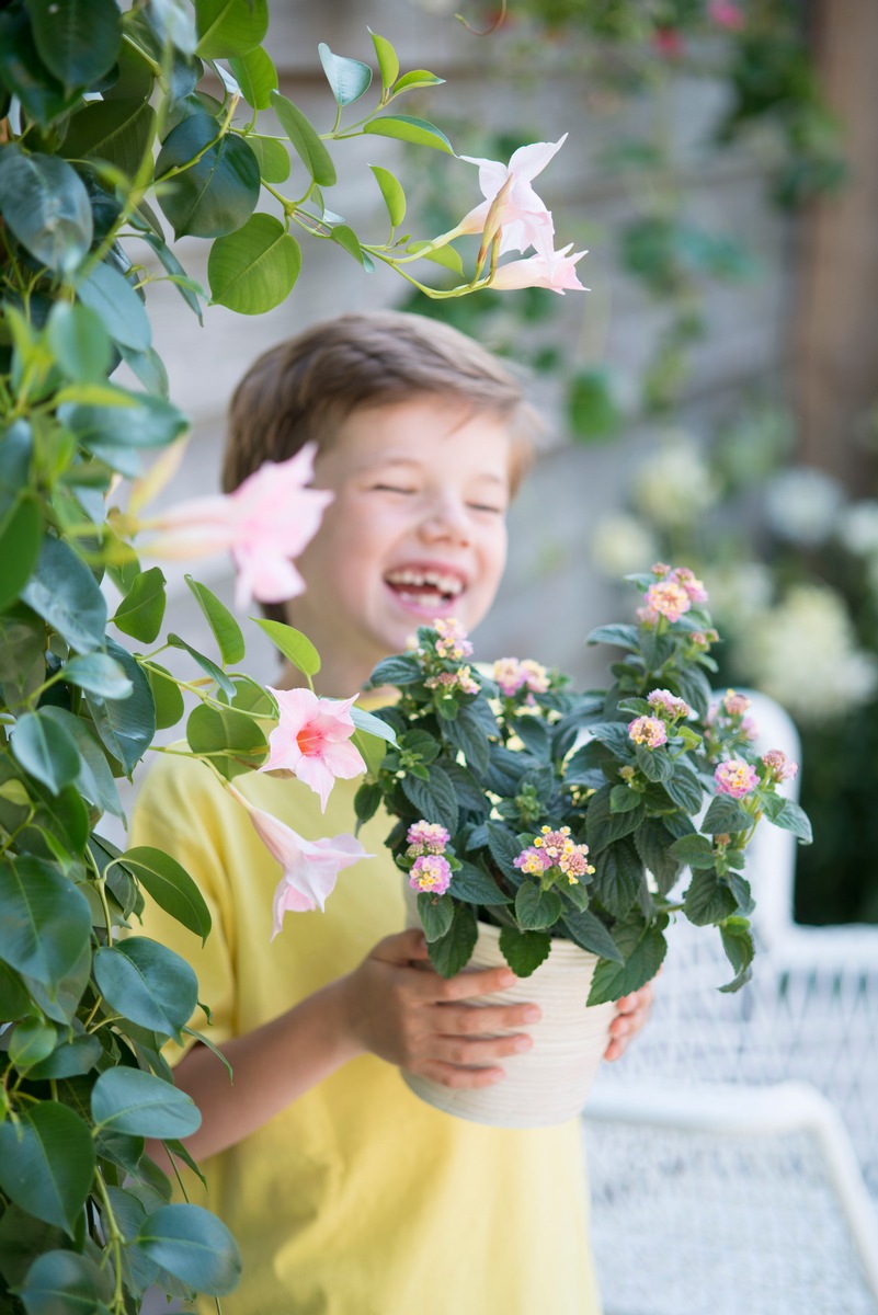 Fröhliche Gartenblüher für einen unvergesslichen Sommer im Freien / Ein sommerlicher Mix aus Gelb und Rosa (FOTO)