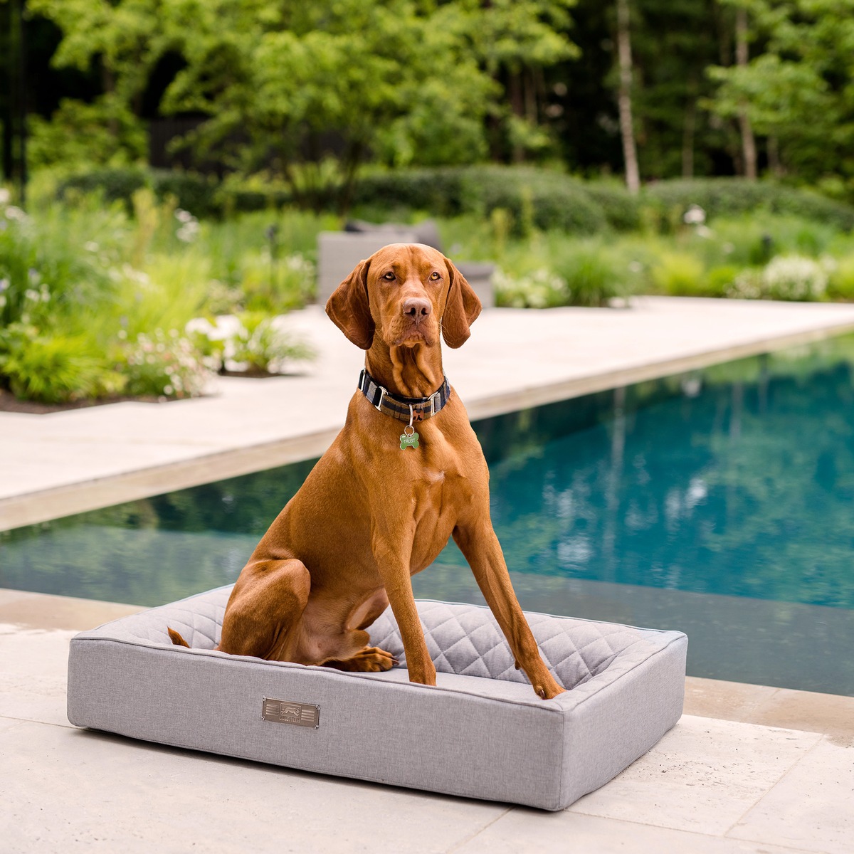 Outdoor Hundebett für höchste Ansprüche - Exklusiv von DOGSTYLER(R) entwickelt