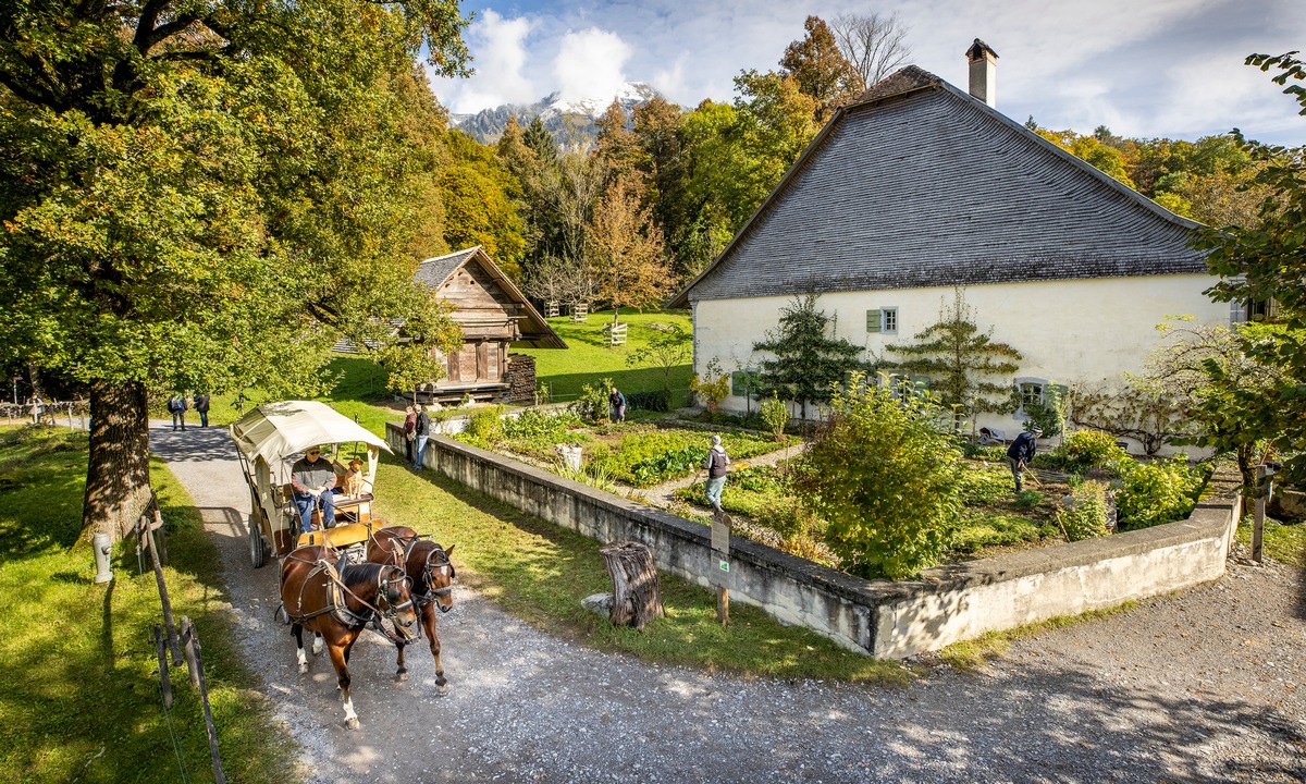 Ballenberg mit positivem Jahresergebnis 2020 / Freilichtmuseum geht gestärkt aus dem ersten Pandemie-Jahr hervor