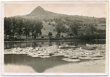 PM Start von Probemaßnahmen für Naturschutzprojekt am Alten Binninger See