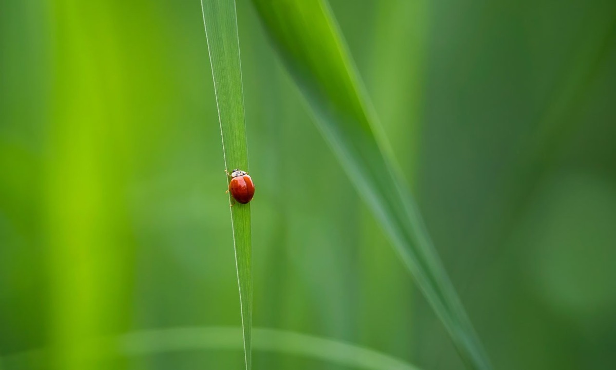 BLOGPOST Nachhaltige Kommunikation ist Risikomanagement