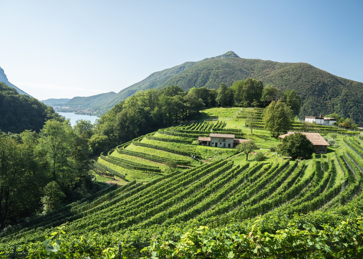 Recommandations pour la fin de l&#039;été et l&#039;automne au Tessin / Des expériences culturelles et naturelles pour des vacances variées