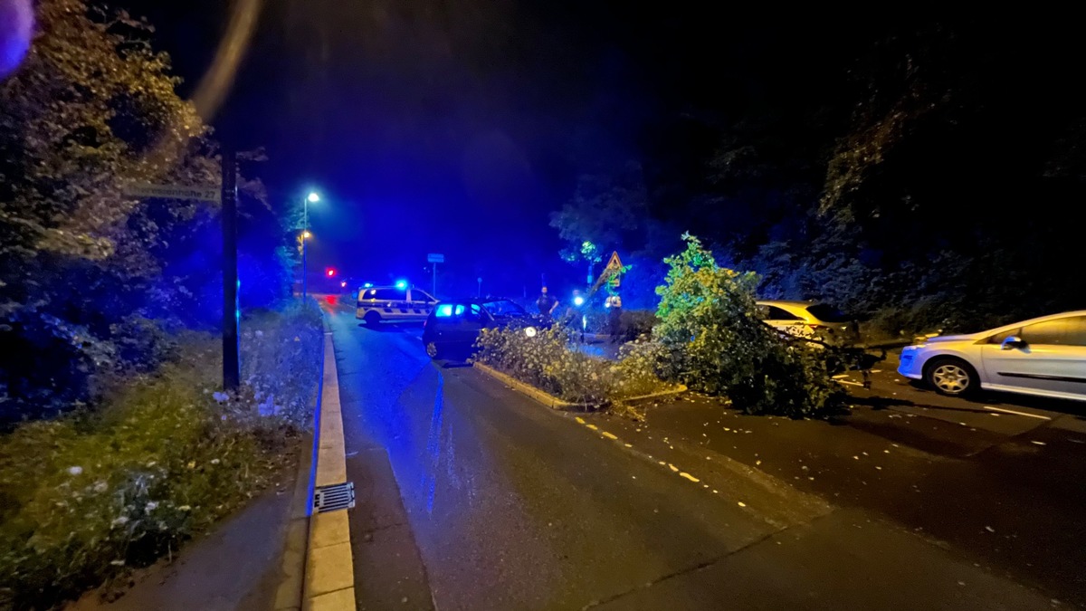 POL-REK: 240728-1: Gegen Baum geprallt und zunächst geflüchtet