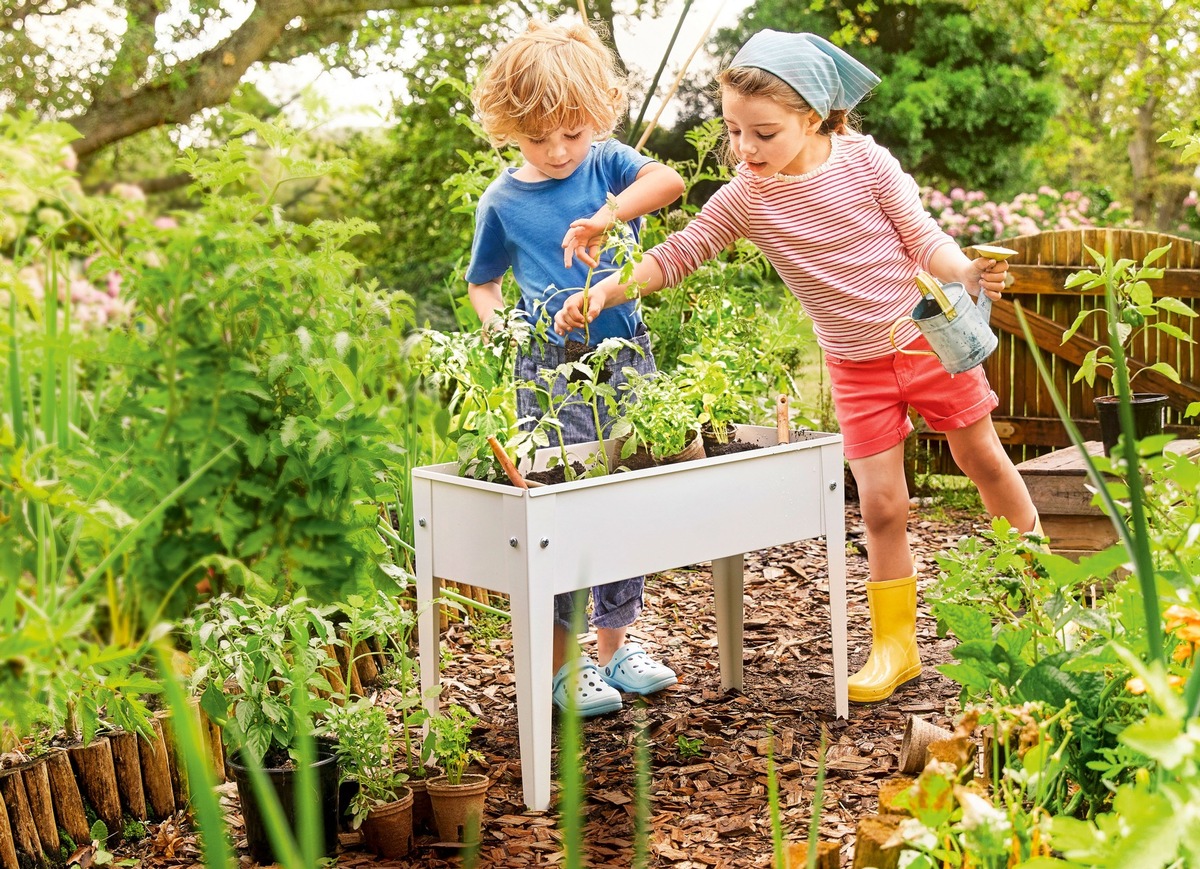 ALDI SÜD Balkon- und Gartentipps